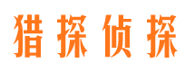 岗巴侦探公司